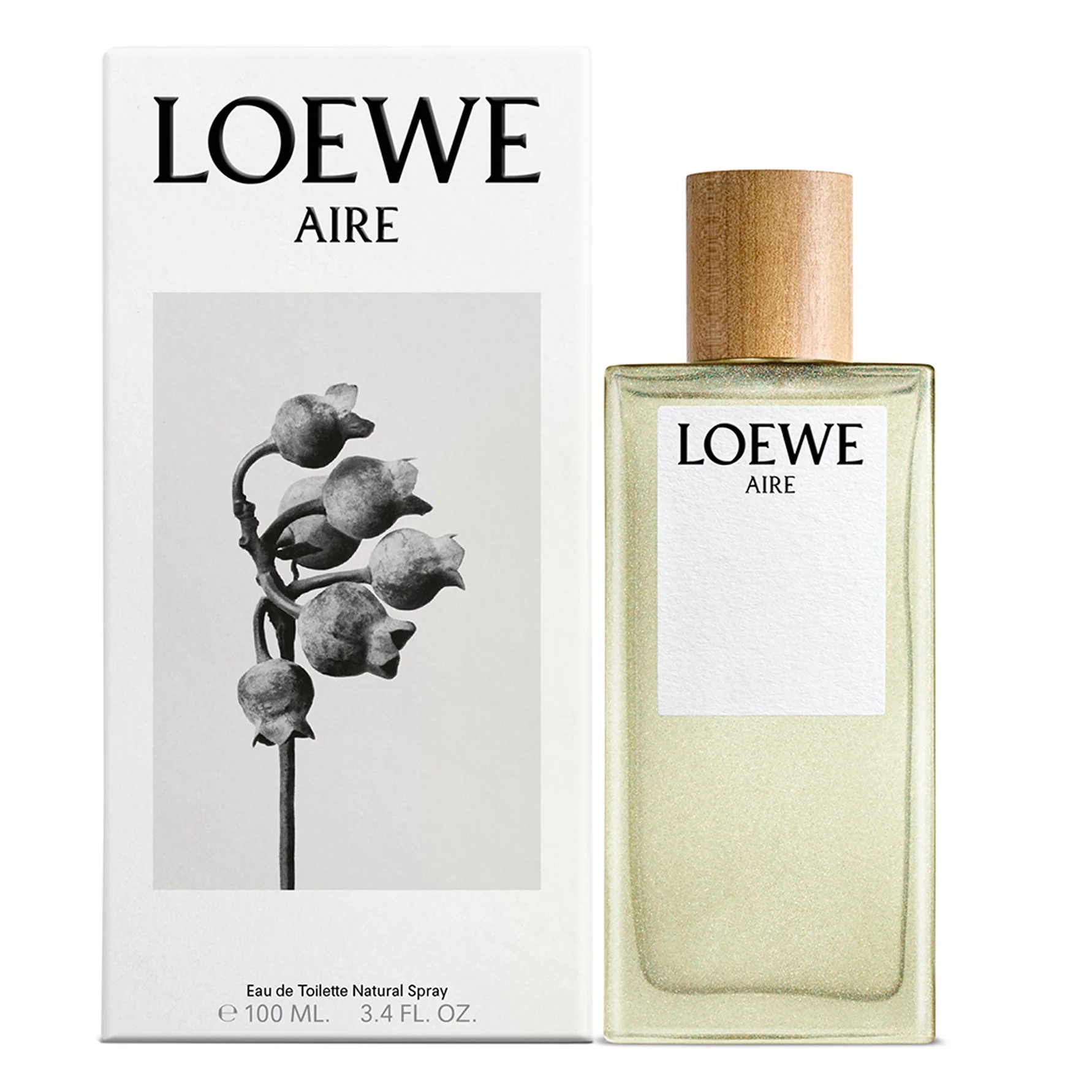 Aire by Loewe 100ml EDT for Women